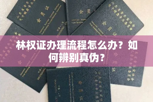 温州林权证办理流程怎么办?如何辨别真伪?