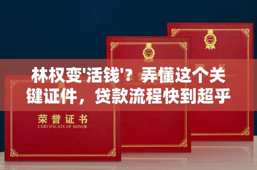 温州林权变'活钱'?弄懂这个关键证件,贷款流程快到超乎想象!